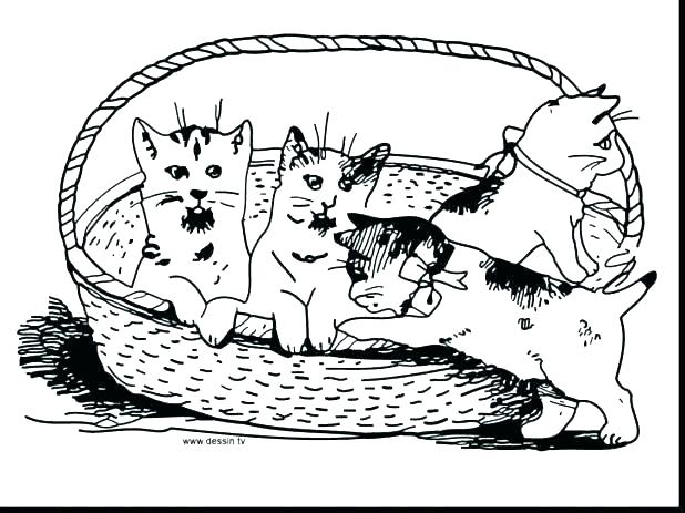 618x463 Puppies And Kittens Coloring Pages Printable Puppy And Kitten