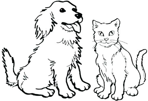 500x344 Coloring Pages Of Puppys Coloring Pages Of Cute Puppy Page