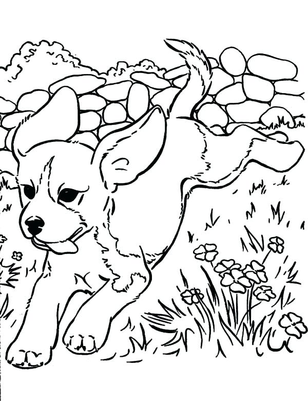 600x780 Coloring Pages Of Puppys Best Puppy Coloring Pages Ideas On Dog