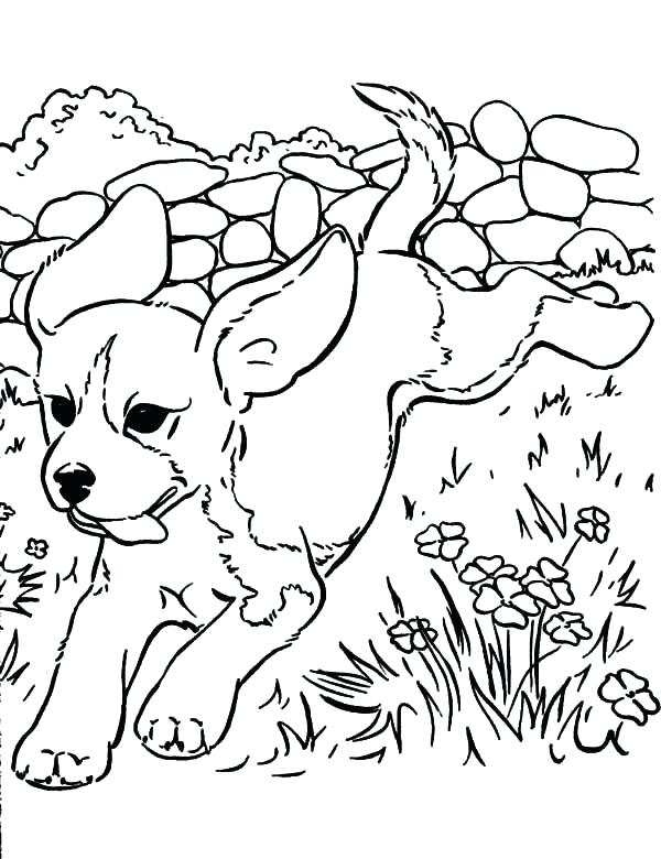 600x780 Fresh Cute Puppy Coloring Pages To Print Crayola Photo Picture
