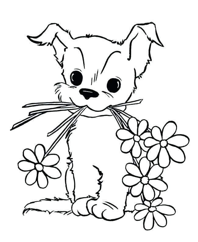 650x796 Pug Coloring Pages For Adults Pug Coloring Page Puppy Colouring