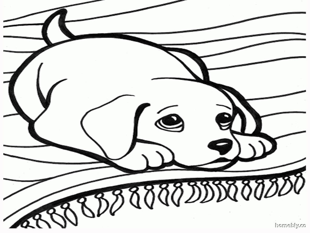 1024x768 Puppy Coloring Pages For Adults Acpra