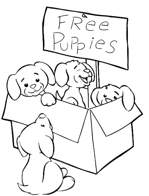 600x786 Puppy Coloring Page Printable Coloring Ideas Pro
