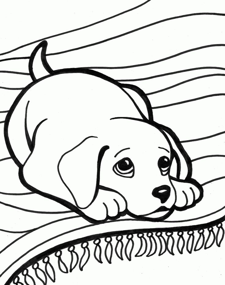 736x931 Pretty Pictures To Color Outstanding Cute Puppy Coloring Pages