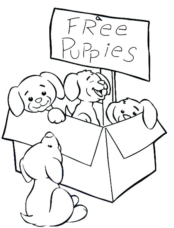 600x786 Puppies Coloring Page Coloring Page Of A Puppy Coloring Pages