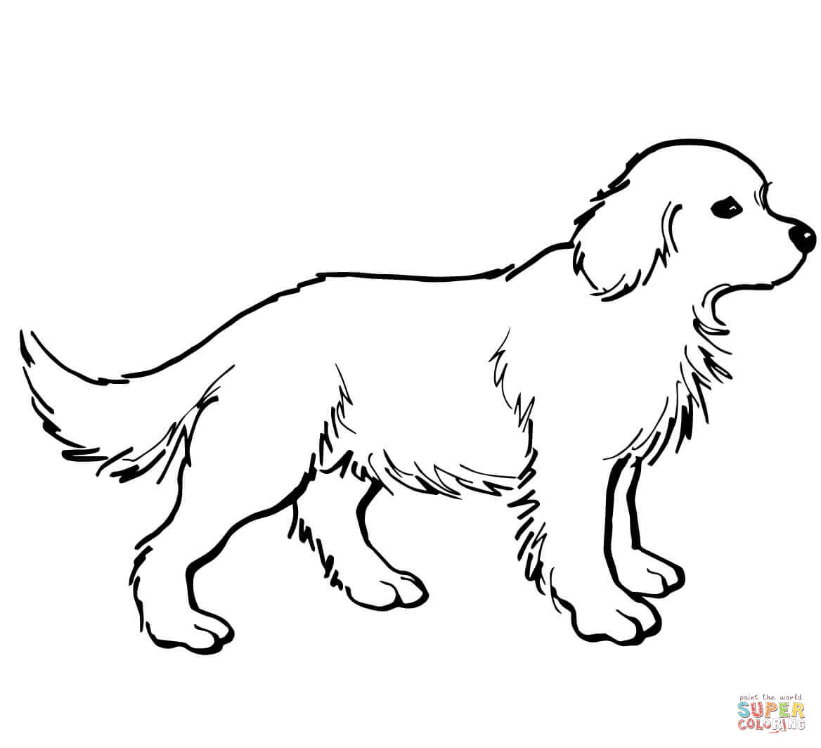 1168x1064 Wonderful Golden Retriever Coloring Pages Coloring To Good Golden