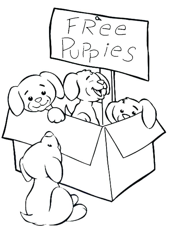 600x786 Puppy Coloring Pages To Print Out Puppy Color Page Best Coloring