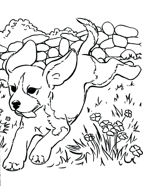 600x780 Puppy Pictures To Color And Print Cute Puppy Coloring Pages