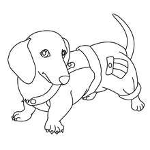 220x220 Dog Coloring Pages