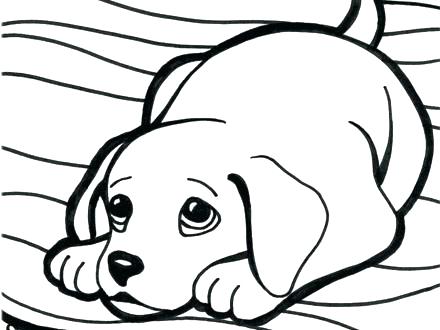 440x330 Coloring Pages Puppy Cute Home Dog Pals C