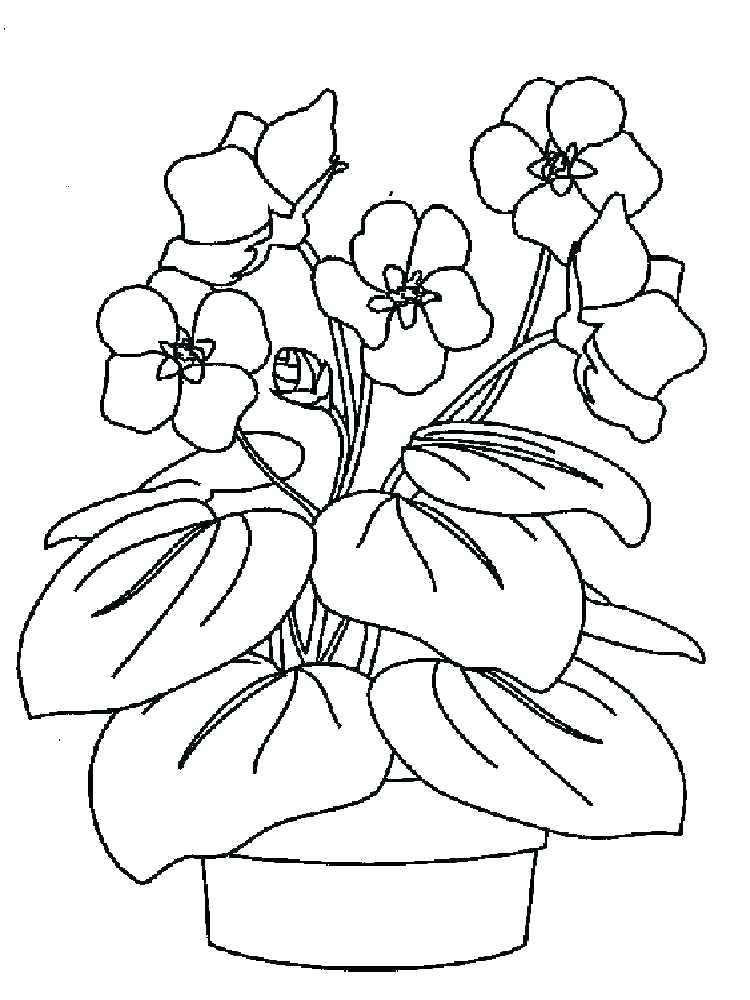 750x1000 Purple Coloring Pages