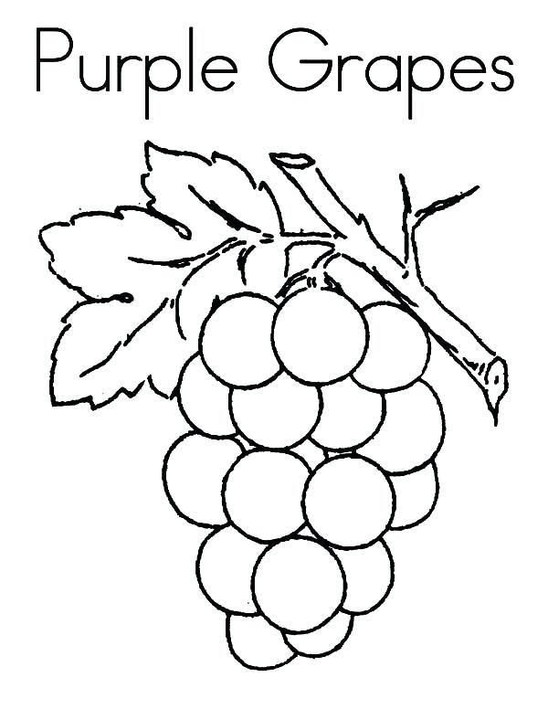 600x776 Purple Coloring Pages Grapes Coloring Pages Preschool Grapes