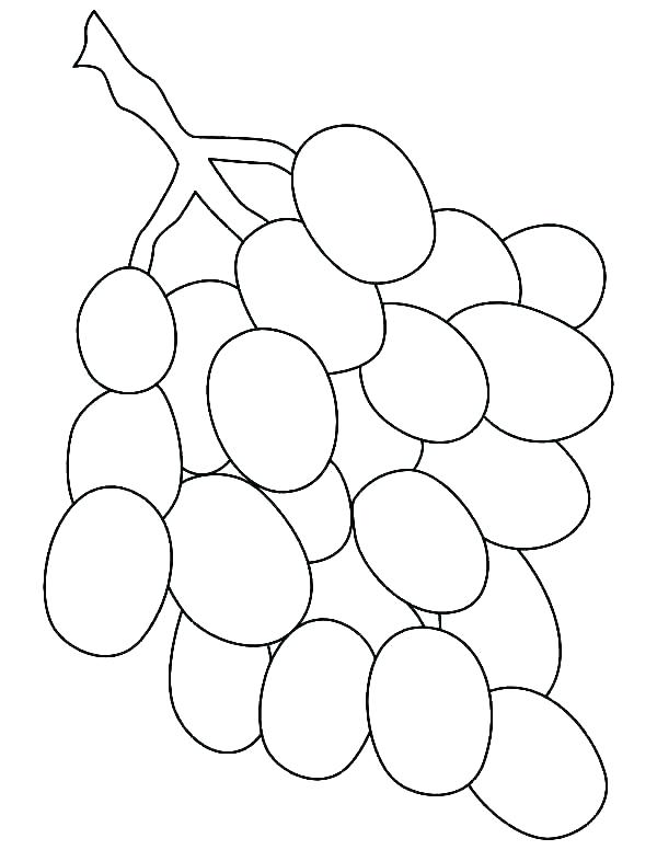 600x776 Grapes Coloring Page Grapes Coloring Page Collection Picture