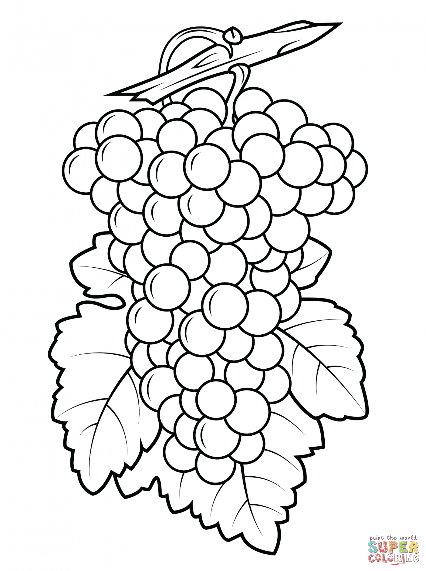 1400x1877 Grapes Coloring Page Pictures High Pagesee Purple Preschool Grape