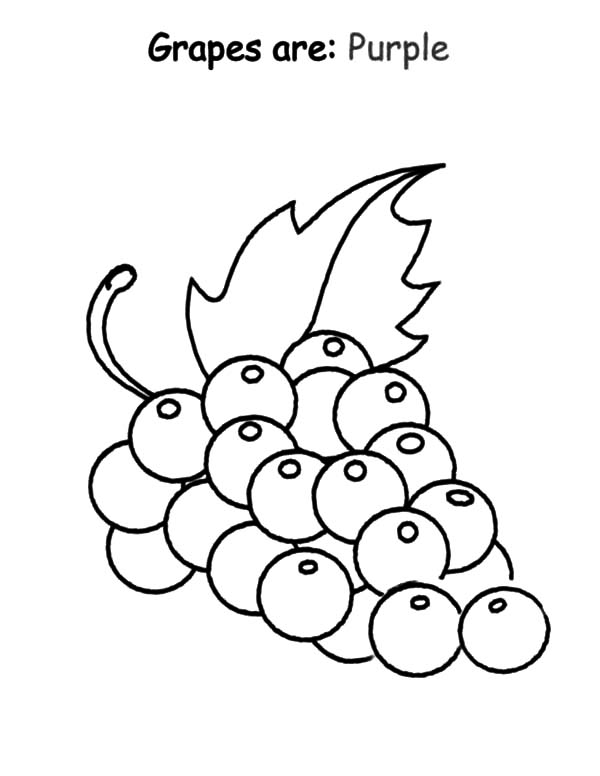 600x776 Purple Coloring Pages Grapes Coloring Pages Preschool Grapes