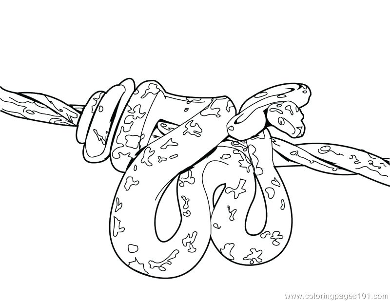 800x618 Pixie Coloring Pages Colouring Page Pop Cherie Coloring Collection