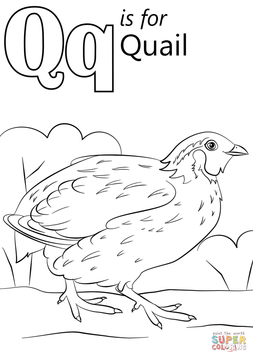 849x1200 Letter Coloring Pages Q For Queen Coloringstar Page Educations