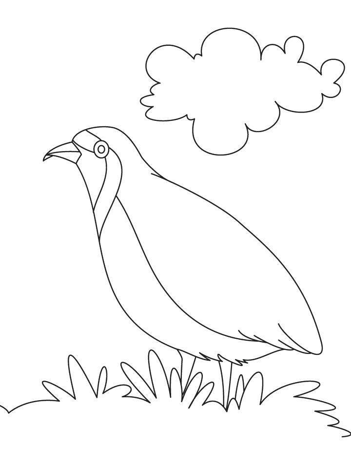 720x954 Quail Coloring Page Partridge A Hungry Coloring Page God Sends