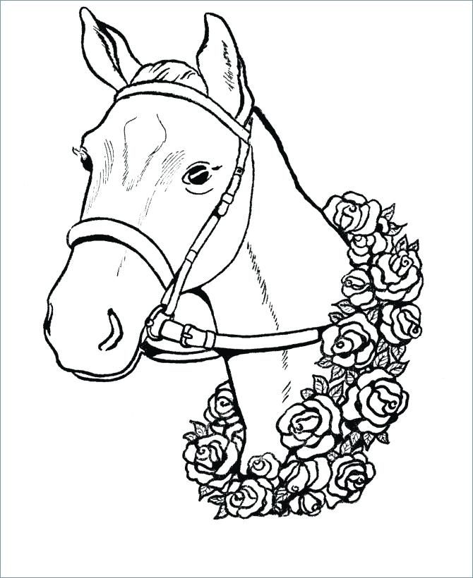670x820 Horse Head Coloring Page Dog Head Coloring Pages Quarter Horse