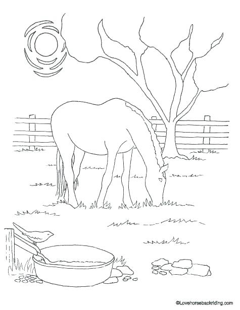475x615 Coloring Pages Of A Horse Also Coloring Pages Of A Horse Simple