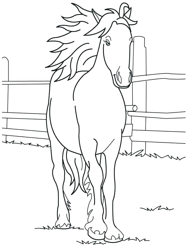 736x981 Horse Coloring Pages To Print Quarter Horse Coloring Pages