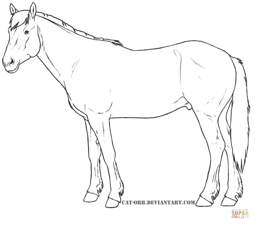 860x759 Horses Coloring Pages Free Coloring Pages Art