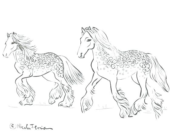 564x436 Printable Horse Coloring Pages Free Printable Horse Coloring Pages