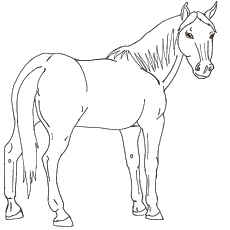 230x230 Top Free Printable Horse Coloring Pages Online
