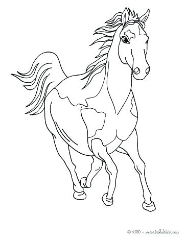 Quarter Horse Coloring Pages at GetDrawings | Free download