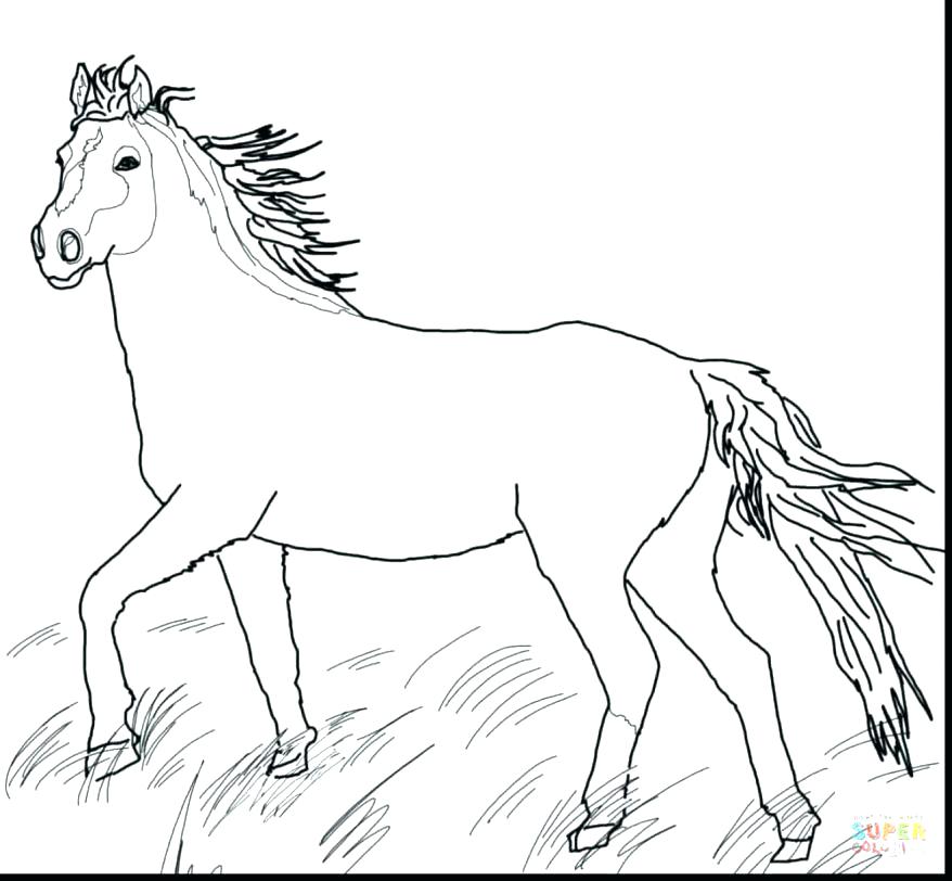 878x812 Coloring Horse Pages Quarter Horse Headless Horseman Coloring