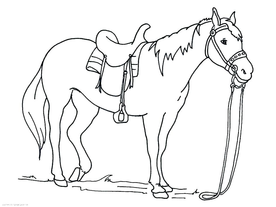 945x709 Coloring Pages Circus Horses Coloring Pages Quarter Horse Home