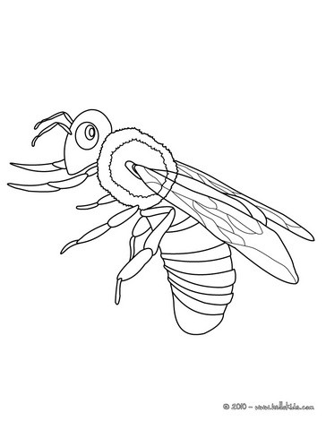 Queen Bee Coloring Page at GetDrawings.com | Free for personal use