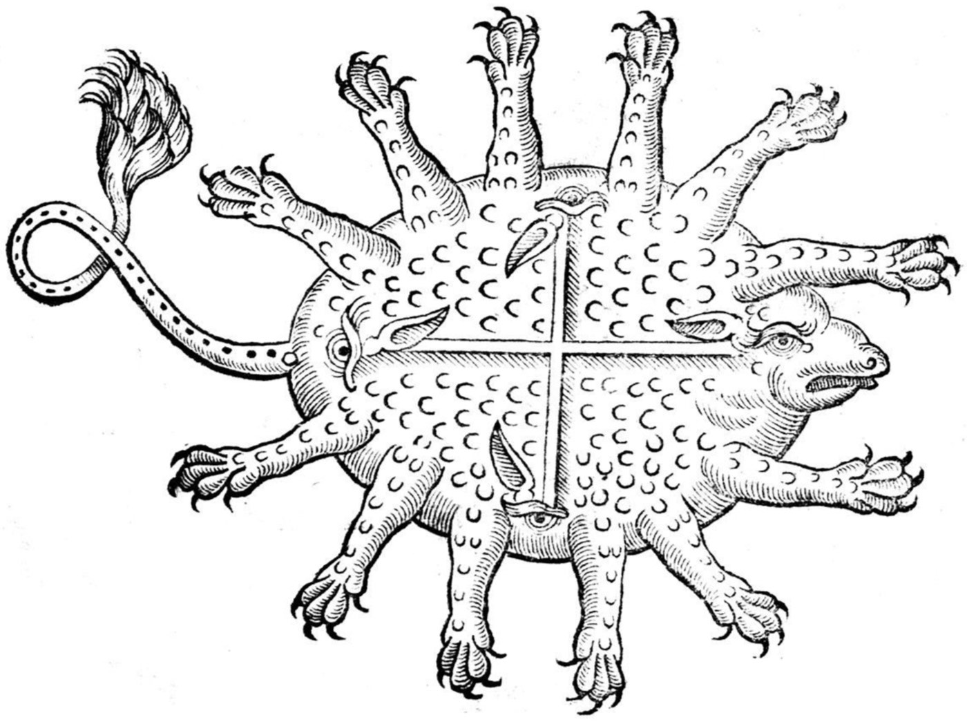 1400x1045 Queen Nefertiti Coloring Page Movieweb