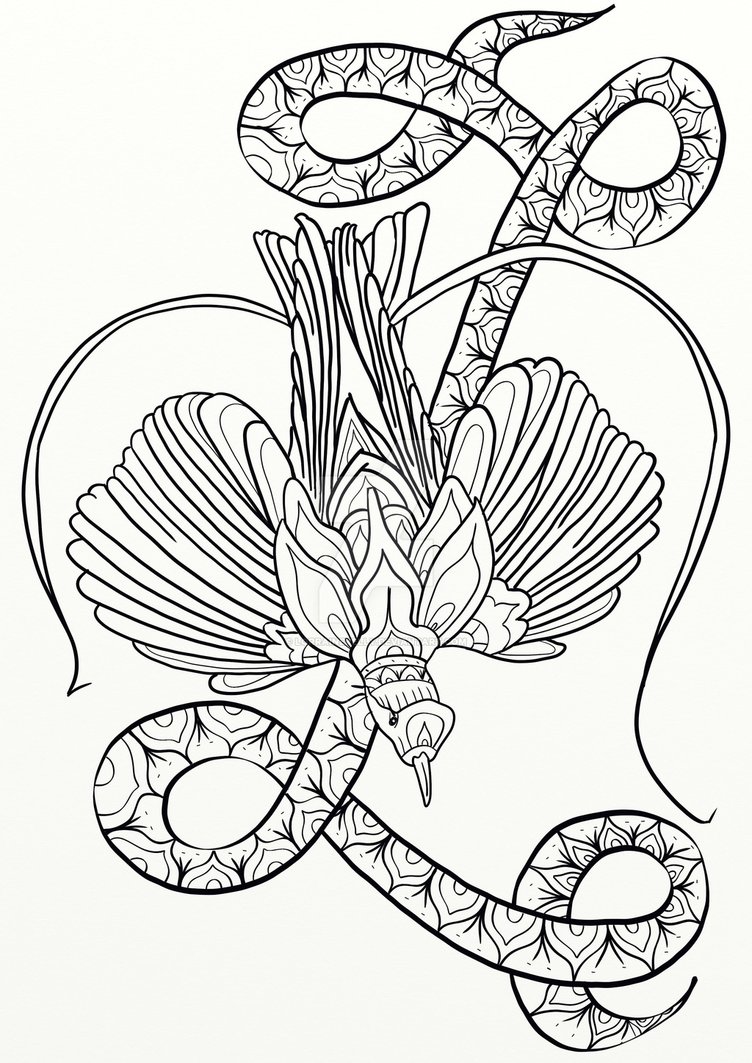 752x1063 Bird Of Paradise Coloring Page