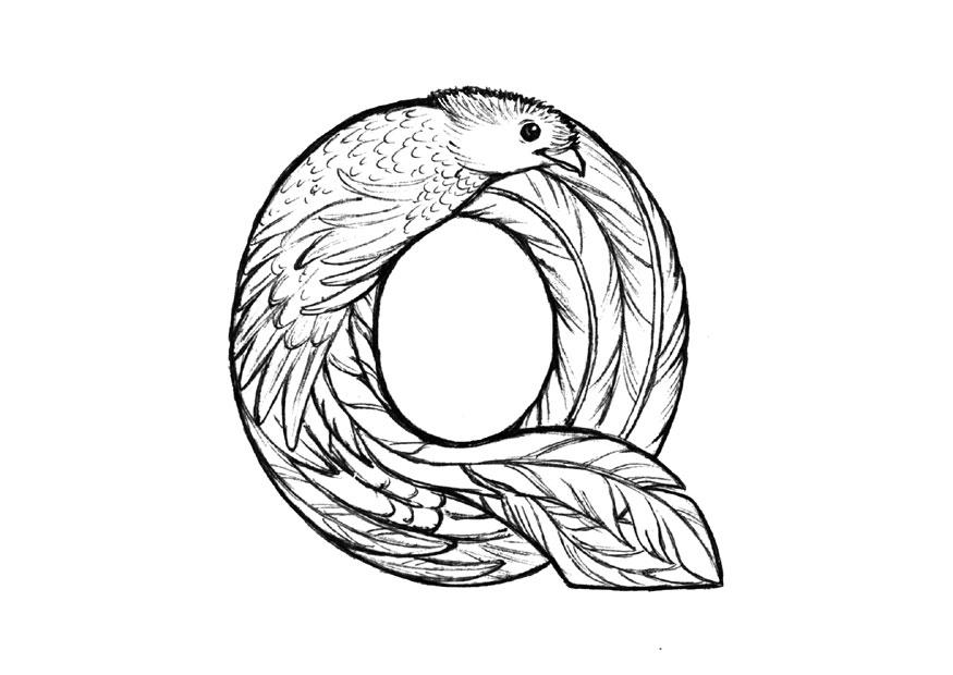875x620 Coloring Page Q Quetzal