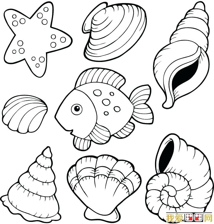 708x741 Seashell Coloring Pages Preschool Quill Pencil Coloring Page Sea