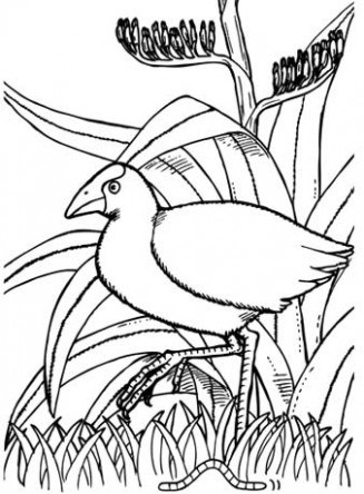 327x444 Quiver Coloring Pages B Daman Coloring Pages