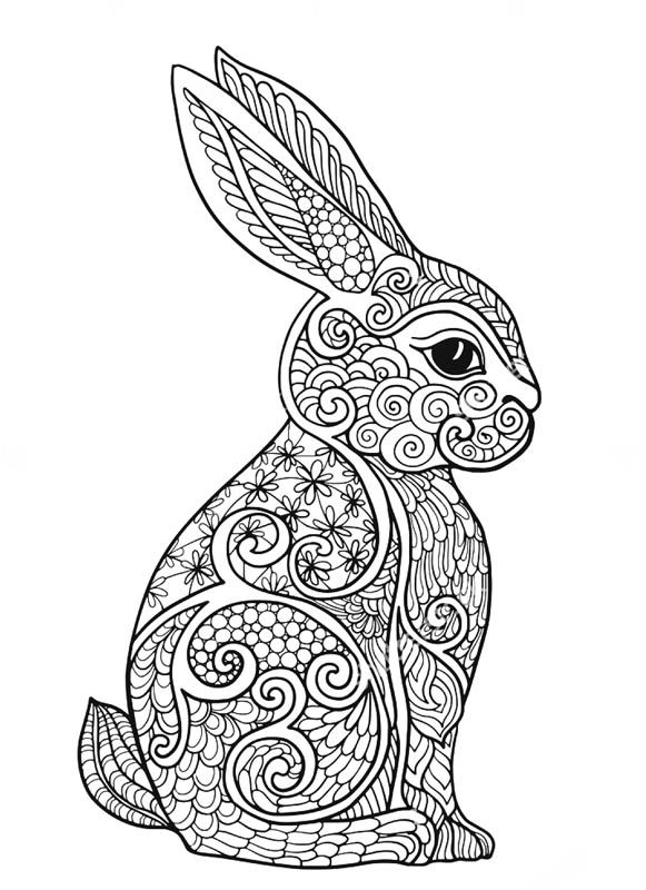 581x800 Best Coloring Rabbit Images On Adult Coloring