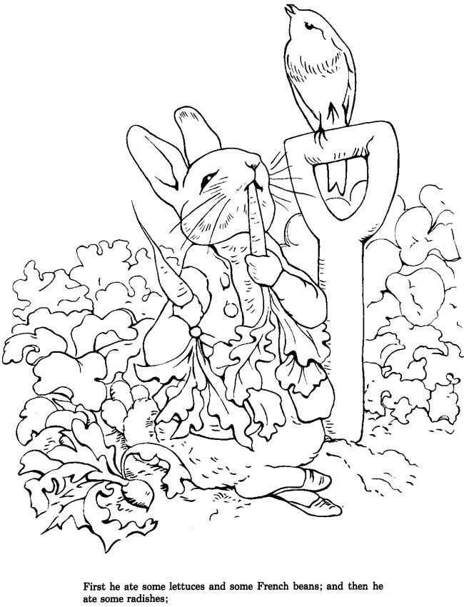 650x850 Coloring Pages Beatrix Potter