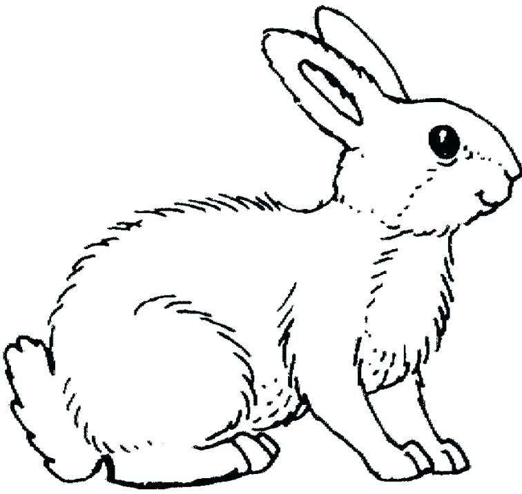 756x716 Rabbit Coloring Pages Astonishing