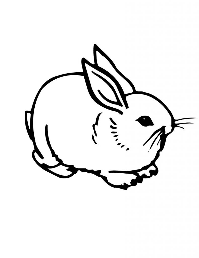 792x1024 Amazing Bunny Coloring Page Easter Pages For Adults Printable