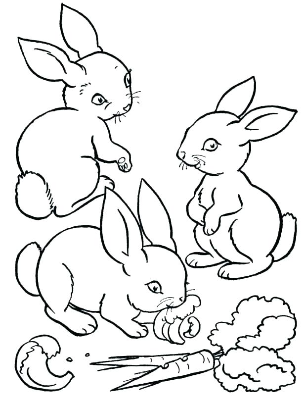 615x820 Bunny Rabbit Coloring Page Bunny Rabbit Coloring Pages Bunny