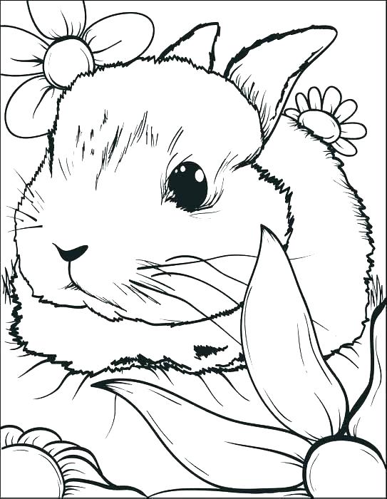 543x700 Bunnies Coloring Pages Top Free Printable Bunny Coloring Pages