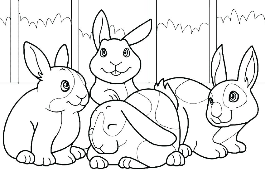 850x567 Peter Rabbit Colouring Pages Printable Coloring Peter Rabbit