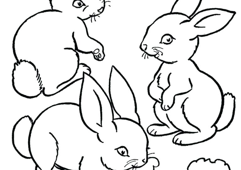 768x544 Rabbit Coloring Page Bunny Coloring Page Dreaded Rabbit Pages