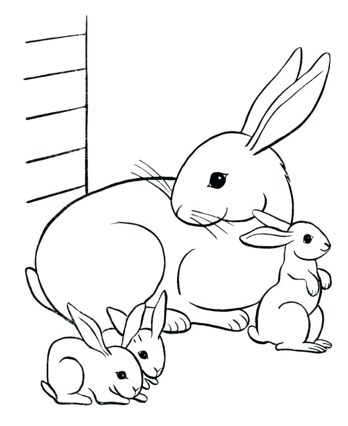 700x856 Coloring Bunny Printable Coloring Pages Free Rabbit Sheets