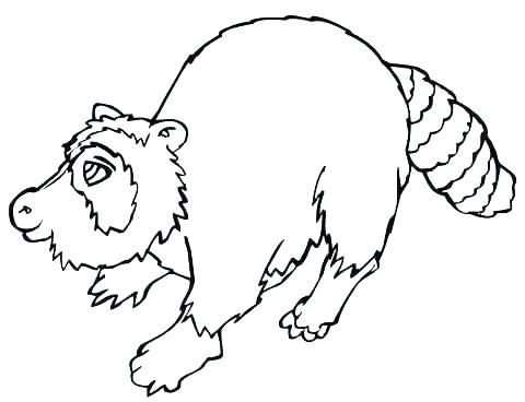 480x368 Raccoon Coloring Pages Baby Raccoon Coloring Pages Adventure