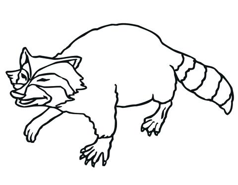 480x374 Raccoon Coloring Pages Click To See Printable Version Of Smiling