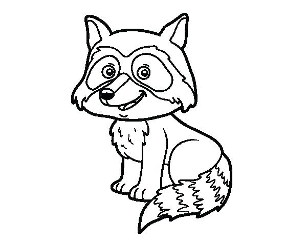 600x470 Raccoon Coloring Pages Raccoon Coloring Pages Coloring Pages