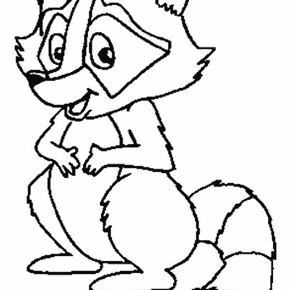960x960 Get This Free Raccoon Coloring Pages To Print Racoon